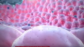 VIDEO O boală misterioasă apărută în Congo ucide în 48 de ore. Medicii sunt în alertă